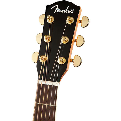 fender dg 200