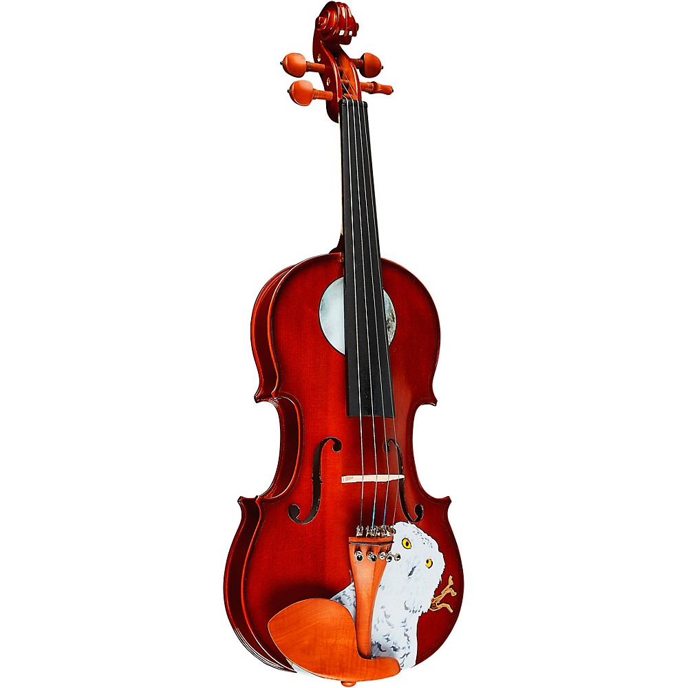 Rozanna's Violins Mystic Owl Series Violin Outfit 1/8 Size