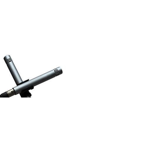 AKG Perception P170 Condenser Microphone 2 Pack | Musician's Friend
