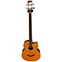 Used Hofner HA-B03 Acoustic Bass Guitar Natural