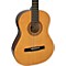 HC06E Classical Nylon String Acoustic-Electric Guitar Level 1 Natural