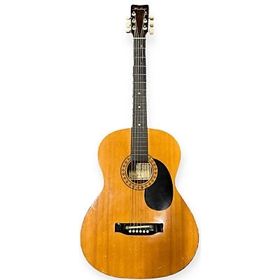 Hohner HW200 Acoustic Guitar