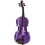 Stentor Harlequin Series Purple Viola 15 in.