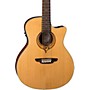Luna Guitars Heartsong 12 String with USB Acoustic Electric Guitar Natural