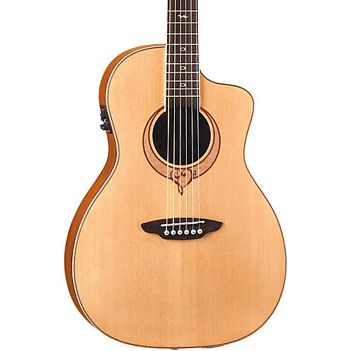 Heartsong Parlor Acoustic Electric Guitar With USB
