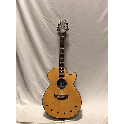 Babicz ID-ACRW-06E Acoustic Electric Guitar