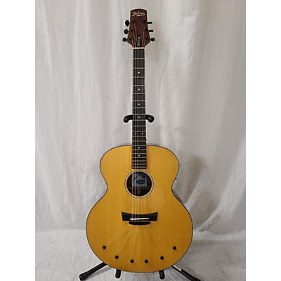 Babicz IDJRW06 Acoustic Guitar