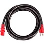 D'Addario IEC to NEMA Plug Power Cable, 10FT 10 ft. Red/Black