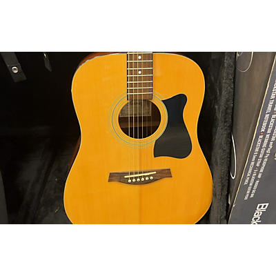 Ibanez IJV100S Acoustic Guitar