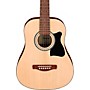 Ibanez IJV30 JamPack 3/4 Size Mini Dreadnought Acoustic Guitar Pack Natural