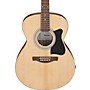 Ibanez IJVC50 JamPack Grand Concert Acoustic Guitar Pack Natural