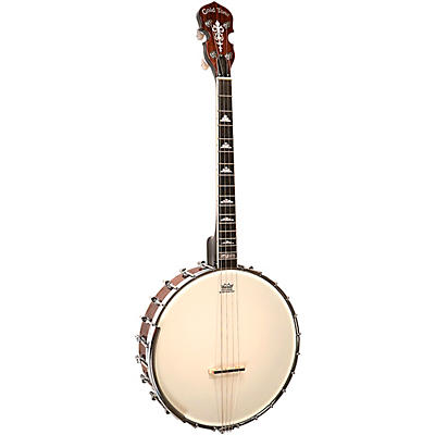 Gold Tone IT-250 4-String Irish Tenor Open-Back Banjo