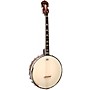 Gold Tone IT-250 4-String Irish Tenor Open-Back Banjo Natural