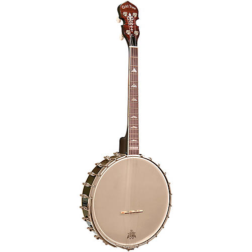 IT-250 4-String Irish Tenor Open Back Banjo