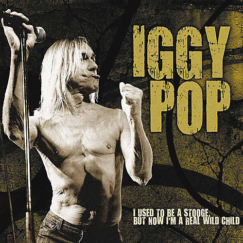 Iggy Pop - I Used To Be A Stooge