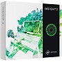 iZotope Insight 2 Metering and Audio Analysis Plug-in