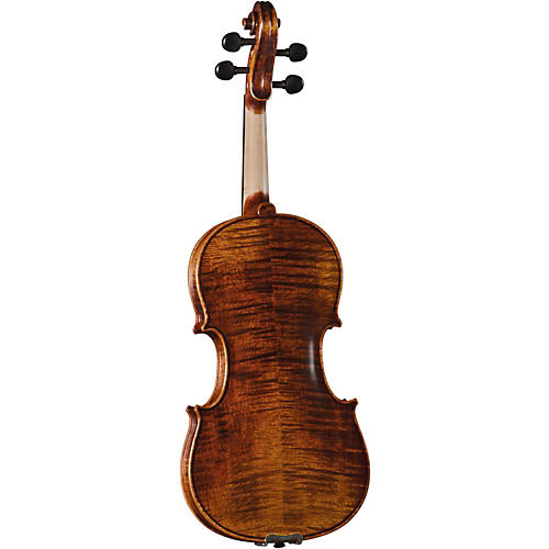 バイオリン 2丁セット Amazon.com: D Z Strad Model 302 Violin with Case, Bow