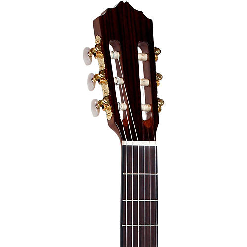 Giannini GI 200 Pro Line エレキギター Giannini CDR Pro Thin CEQ Nylon String Acoustic-Electric Guitar