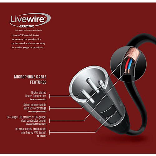 Live wire  meaning of LIVE WIRE 