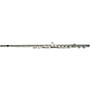 Jupiter JAF1000 Series Alto Flute 517S - Straight Headjoint