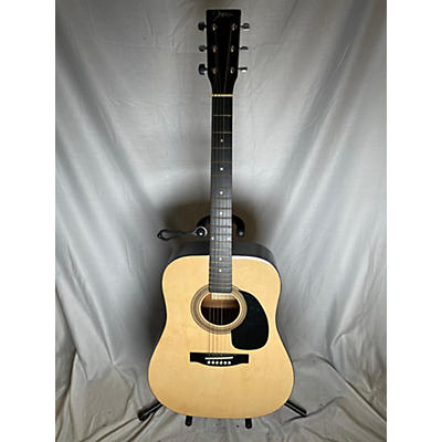 Johnson JD610N Acoustic Guitar