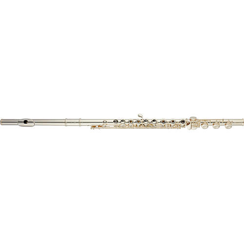 JFL1000RB Series Intermediate Flute