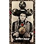 Used Dunlop JHM8 GYPSY FUZZ Effect Pedal