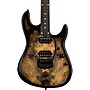 Ernie Ball Music Man Jason Richardson Artist Series Cutlass Electric Guitar Buckeye Burl S11210