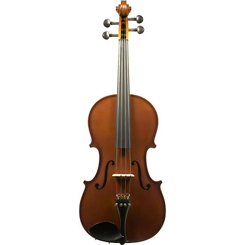 Joseph Lazar 81 Viola Outfit