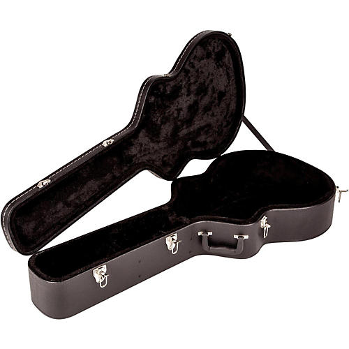 musicians friend guitar case