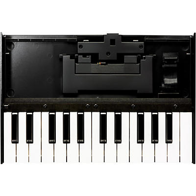 Roland K-25m Boutique Keyboard Unit