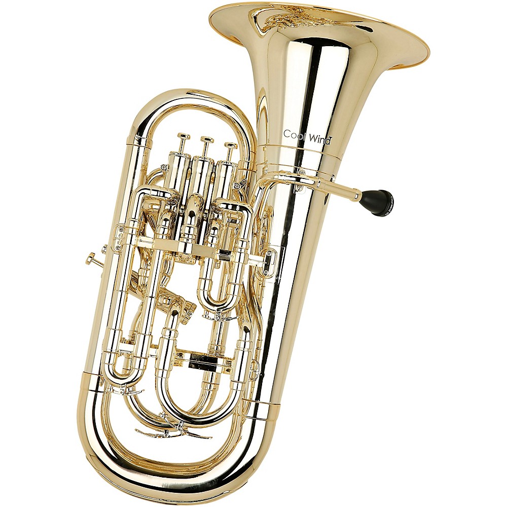 Cool Wind CEU-200 Metallic Series 4-Valve Plastic Euphonium Lacquer | eBay