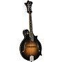 Open-Box Kentucky KM-1050 Master F-Style Mandolin Condition 2 - Blemished Vintage Sunburst 197881449018