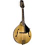 Kentucky KM-508 Artist A-Model Mandolin - Gold Top Gold Top