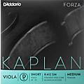 D'Addario Kaplan Series Viola D String 16+ Long Scale Heavy13-14 Short Scale