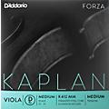 D'Addario Kaplan Series Viola D String 16+ Long Scale Medium15+ Medium Scale