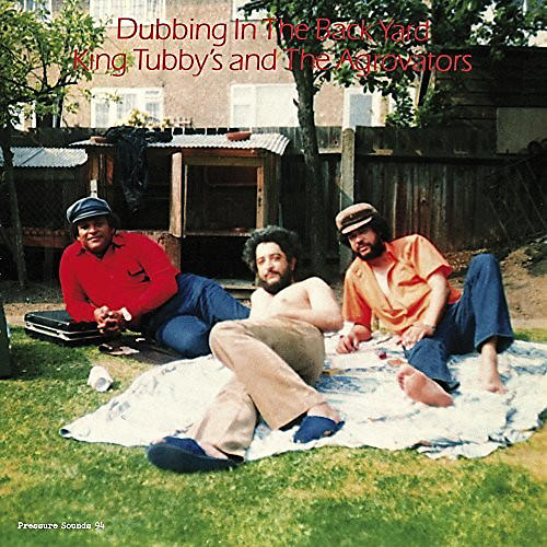 King Tubby's Agrovators - Dubbing In The Back Yard
