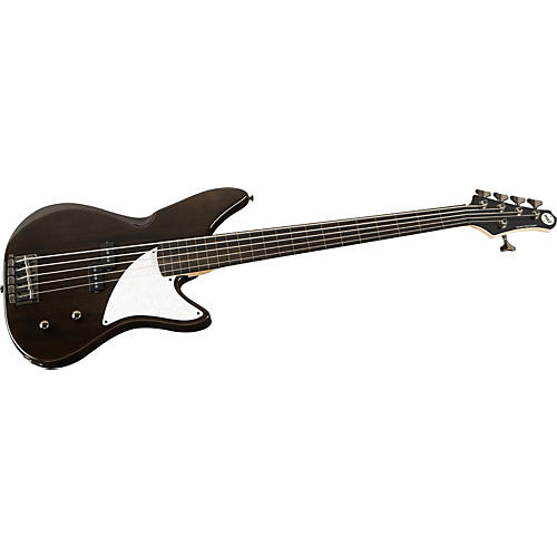 Kingston CRB 5-String Fretless Electric Bass Guitar