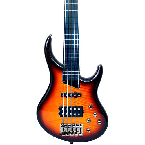 Kingston Heir 5-String Fretless Bass Guitar
