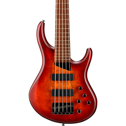 Kingston ZX 5-String Bass