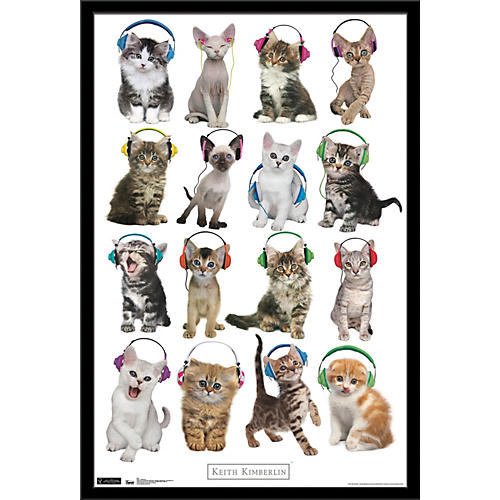 Kitten - Headphones Poster