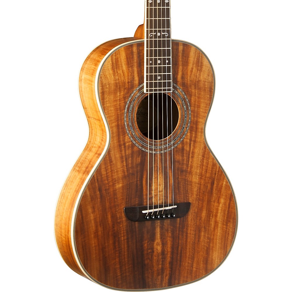How to Understand the Model Numbers on Washburn Guitars