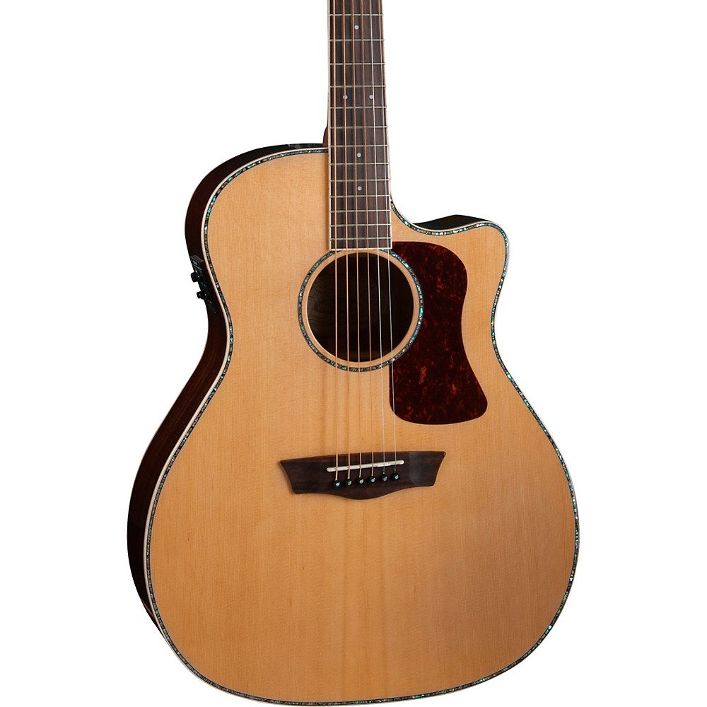 About Washburn Guitars