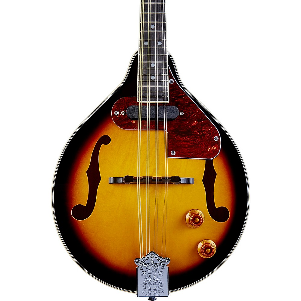 Rogue RM110AE AcousticElectric AStyle Mandolin Sunburst eBay