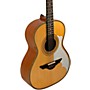 H. Jimenez LBQ Acoustic Bajo Quinto Satin Finish