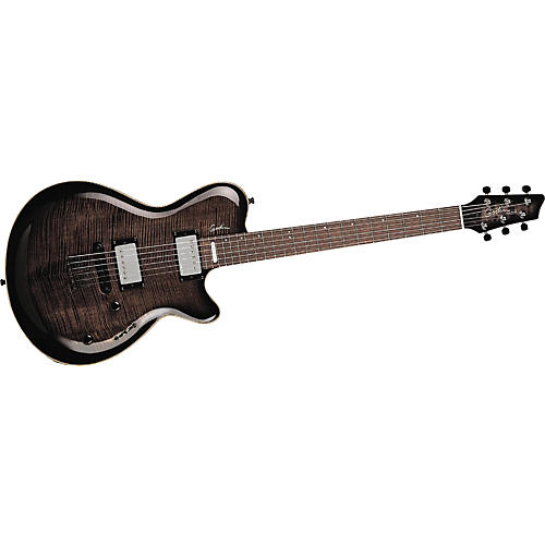 LG Signature AAA Flame Maple Top Guitar