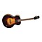 LH-309 Hollowbody Electric Guitar Level 2  888365543277