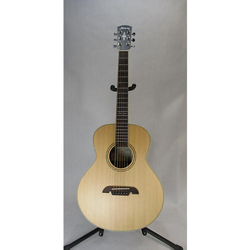 LJ2E Acoustic Electric Guitar