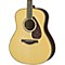 LL16RD L Series Solid Rosewood/Spruce Dreadnought Acoustic-Electric Guitar Level 2 Natural 888365847467