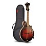 The Loar LM-310F Hand-Carved F-Style Mandolin with Bag Vintage Brown
